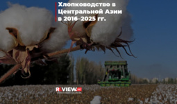 Хлопководство в Центральной Азии в 2016–2025 гг.