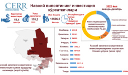 Infografika: Navoiy viloyatida 2022 yil yakunlarida assosiy kapitalga kiritilgan investitsiyalar