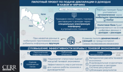 Инфографика: Запуск пилотного проекта по подаче декларации о доходах граждан в Навои и Чирчике