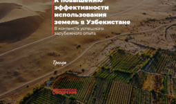 К повышению эффективности использования земель в Узбекистане