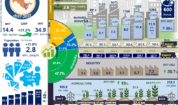 Infographics: Socio-economic development of Surkhandarya region for 2017-2022
