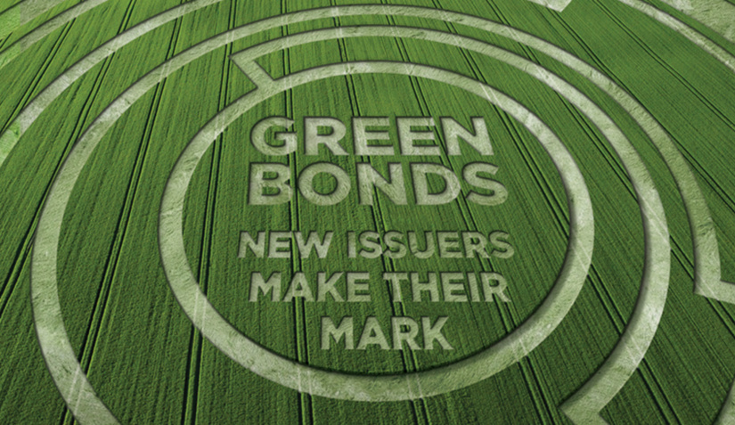 Зеленые облигации не стимулируют действия по борьбе с изменением климата в США Зеленые облигации не стимулируют действия по борьбе с изменением климата в США