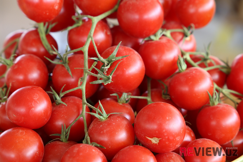 В МИВТ прокомментировали запрет на ввоз в РФ томатов и перцев из Ферганской области В МИВТ прокомментировали запрет на ввоз в РФ томатов и перцев из Ферганской области