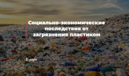 Социально-экономические последствия от загрязнения пластиком