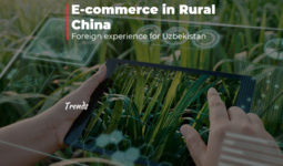 Xitoy qishloqlarida elektron tijorat