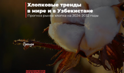 Хлопковые тренды в мире и в Узбекистане
