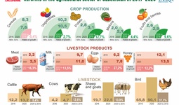 Dynamics of agricultural reforms (+ infographics)