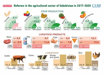 Dynamics of agricultural reforms (+ infographics)