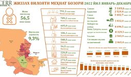 Инфографика: Жиззах вилояти меҳнат бозорининг 2022 йил якунларидаги ҳолати