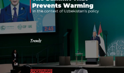 The Summit That Prevents Warming