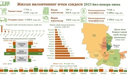 Жиззах вилояти ички савдосининг  2023 йил январь-июнь ҳолати таҳлил қилинди