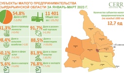 Анализ деятельности субъектов малого бизнеса Сырдарьинской области за январь-март 2023 года