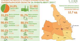 Анализ деятельности субъектов малого бизнеса Сырдарьинской области за январь-март 2023 года