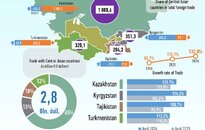 Infographics:
