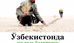 O‘zbekistonda iqlim o‘zgarishi