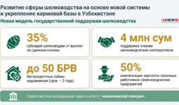 Узбекистан усиливает развитие шелководства: новые меры поддержки, расширение плантаций и рост переработки