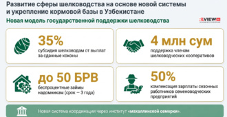 Узбекистан усиливает развитие шелководства: новые меры поддержки, расширение плантаций и рост переработки