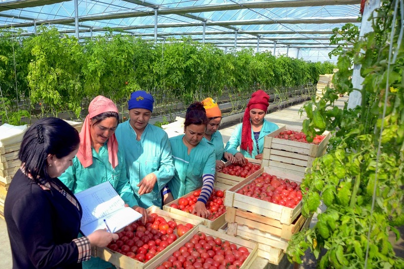 Aёллар раҳбарлигидаги корхоналарни - тикланиш пойдевори Aёллар раҳбарлигидаги корхоналарни - тикланиш пойдевори