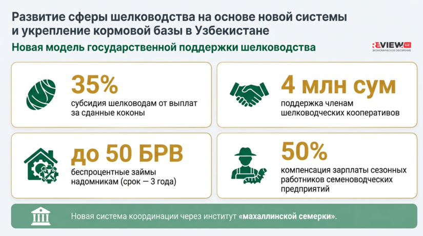Узбекистан усиливает развитие шелководства: новые меры поддержки, расширение плантаций и рост переработки