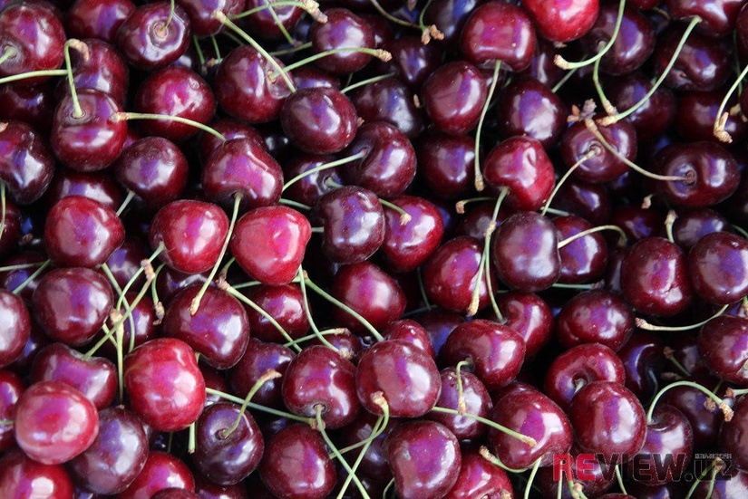 Узбекистан экспортировал черешню на $30 млн Узбекистан экспортировал черешню на $30 млн