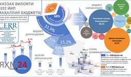 Жиззах вилоятининг 2022 йил учун маҳаллий бюджети таркиби (+инфографика)