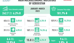 Economic Development of Uzbekistan in Q1 2024
