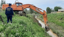 ФВВ: Зарарланган ҳудудларда тўпланган 70 та уй ҳайвони кўмилди