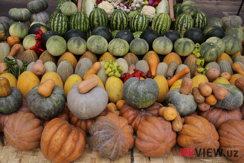 Завершаются процедуры по допуску узбекских фруктов и бахчевых на китайский рынок