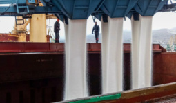 Рост цен на удобрения повышает риски глобальной продовольственной инфляции