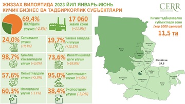 2023 йил январь-июнь ойларида Жиззах вилоятида кичик бизнес субъектлари фаолияти таҳлил қилинди