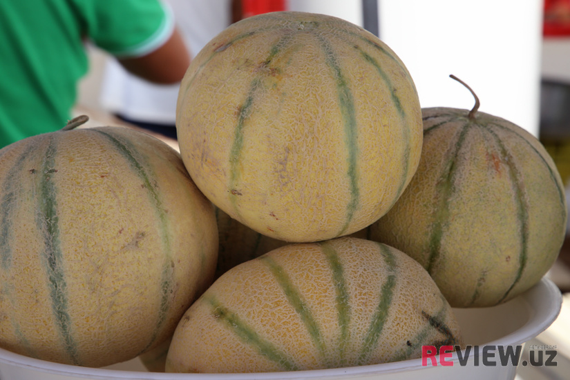 O‘zbekiston qovun va tarvuz eksportidan qancha daromad qilgan? O‘zbekiston qovun va tarvuz eksportidan qancha daromad qilgan?