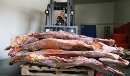 Освобождение от уплаты НДС на импорт мяса и масла предложено продлить еще на четыре месяца