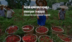 Хитой қишлоқларида электрон тижорат