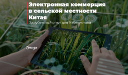 Электронная коммерция в сельской местности Китая