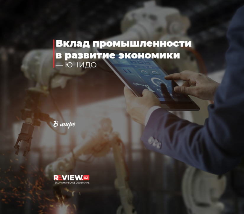 Вклад промышленности в развитие экономики — ЮНИДО