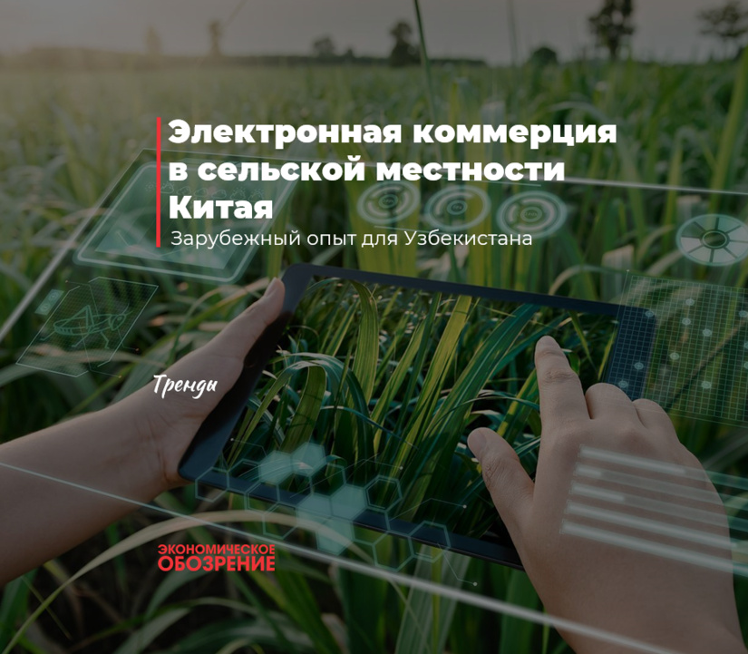 Электронная коммерция в сельской местности Китая Электронная коммерция в сельской местности Китая