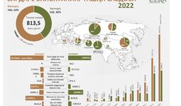 Инфографика: Сирдарё вилоятининг 2022 йил учун ташқи савдо айланмаси