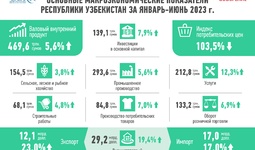 Инфографика: Развитие экономики Узбекистана в I-полугодии 2023 г.