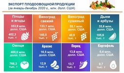 Узбекистан в 2020 году экспортировал плодоовощную продукцию на $1 млрд