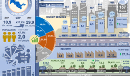 Infographics: Socio-economic development of the Republic of Karakalpakstan for 2017-2022 (video)