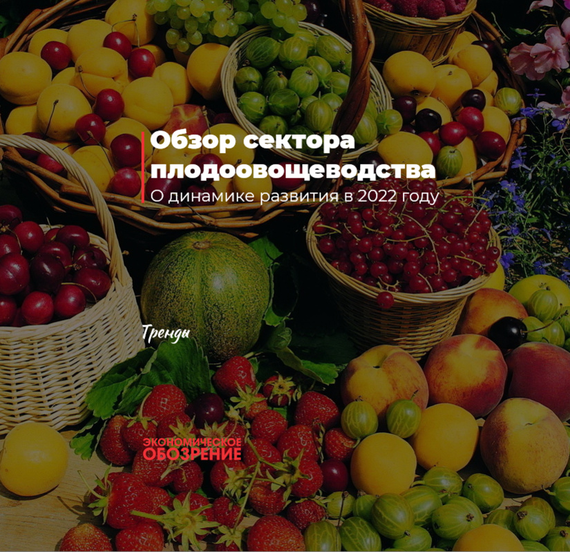 Meva-sabzavotchilik sohasining tahlili Meva-sabzavotchilik sohasining tahlili