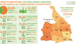 2023 йил якунлари бўйича Сирдарё вилоятидаги кичик бизнес субъектларининг фаолияти таҳлил қилинди