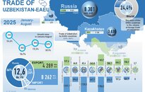Infographic: