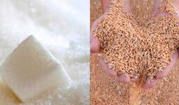 В Узбекистане приняты меры по обеспечению пшеницей, мукой и сахаром — Минсельхоз