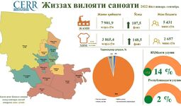 Инфографика: Жиззах вилояти саноат соҳасининг 2022 йил 3-чорак якунлари