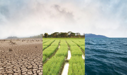 Региональное лидерство в управлении глобальными климатическими точками перелома