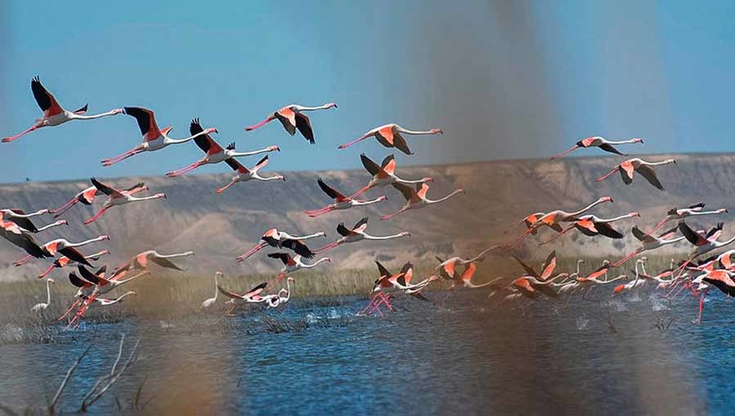 На озерах Акчакуль и Судочье в Каракалпакстане намерены создать туристические зоны