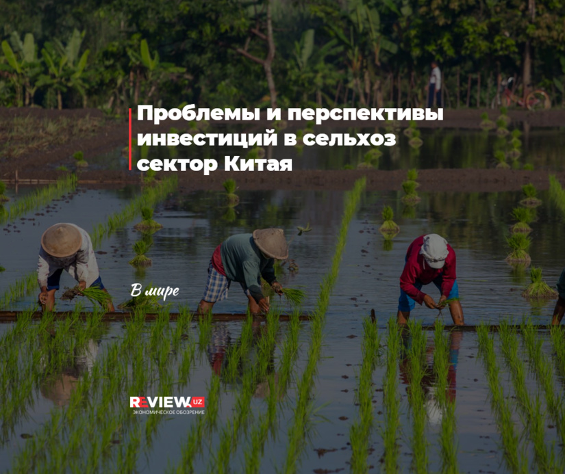 Проблемы и перспективы инвестиций в сельхоз сектор Китая Проблемы и перспективы инвестиций в сельхоз сектор Китая