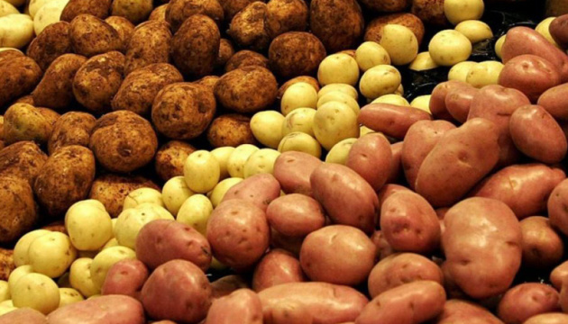 На восстановление сектора картофелеводства в Узбекистане направят $195 тыс — ФАО