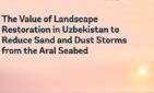 Each year, the storms carry about 15–75 million tons of sand, dust, and salt from the dried Aral seabed
